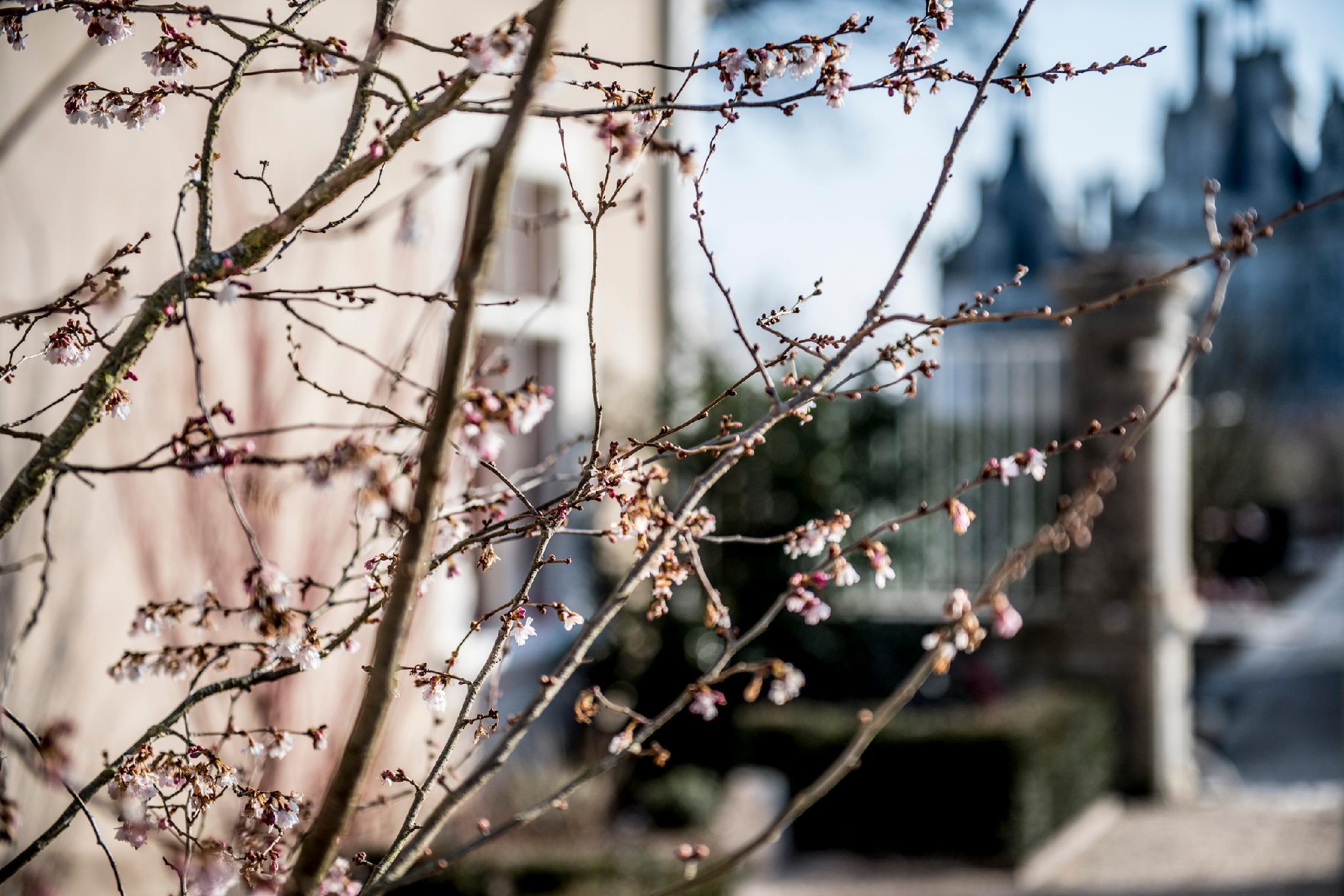 Relais De Chambord - Small Luxury Hotels Of The World Exterior foto